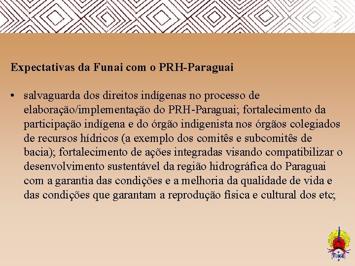  Expectativas da Funai com o PRH-Paraguai • salvaguarda dos direitos indígenas no processo