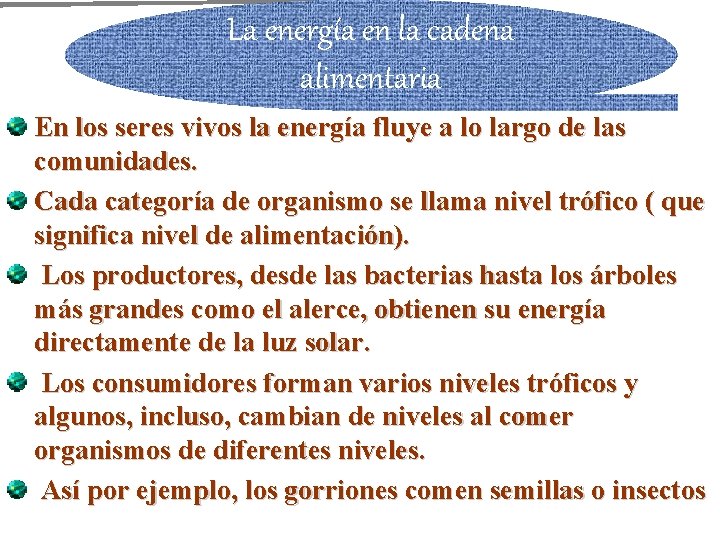 La energía en la cadena alimentaria En los seres vivos la energía fluye a