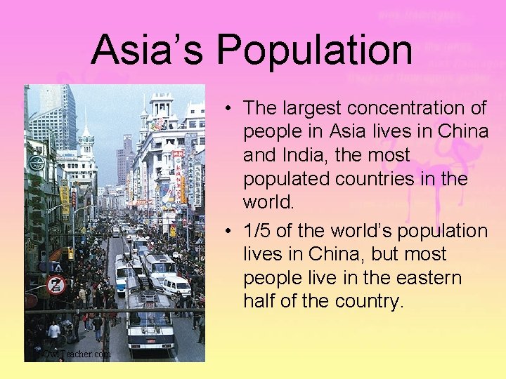 Asia’s Population • The largest concentration of people in Asia lives in China and