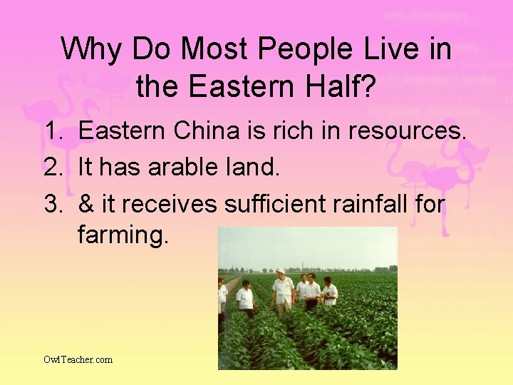 Why Do Most People Live in the Eastern Half? 1. Eastern China is rich