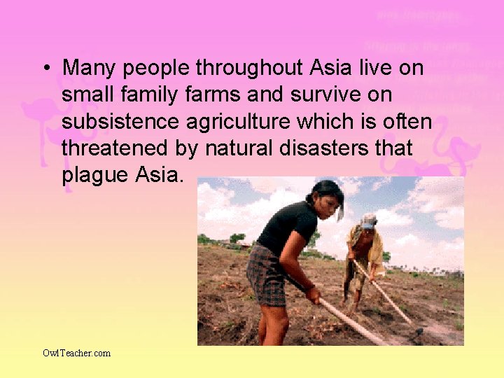  • Many people throughout Asia live on small family farms and survive on