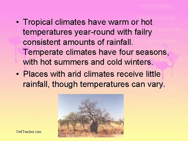  • Tropical climates have warm or hot temperatures year-round with failry consistent amounts