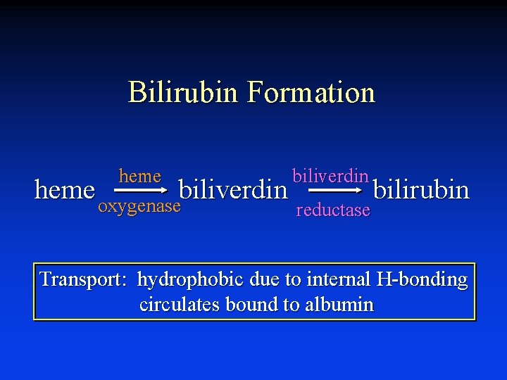 Bilirubin Formation heme biliverdin heme oxygenasebiliverdin bilirubin reductase Transport: hydrophobic due to internal H-bonding