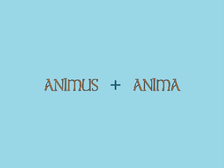 ANIMUS + ANIMA 