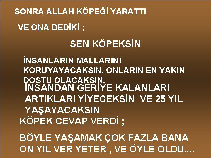 SONRA ALLAH KÖPEĞİ YARATTI VE ONA DEDİKİ ; SEN KÖPEKSİN İNSANLARIN MALLARINI KORUYAYACAKSIN, ONLARIN