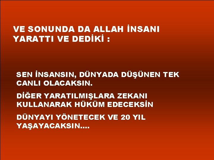 VE SONUNDA DA ALLAH İNSANI YARATTI VE DEDİKİ : SEN İNSANSIN, DÜNYADA DÜŞÜNEN TEK