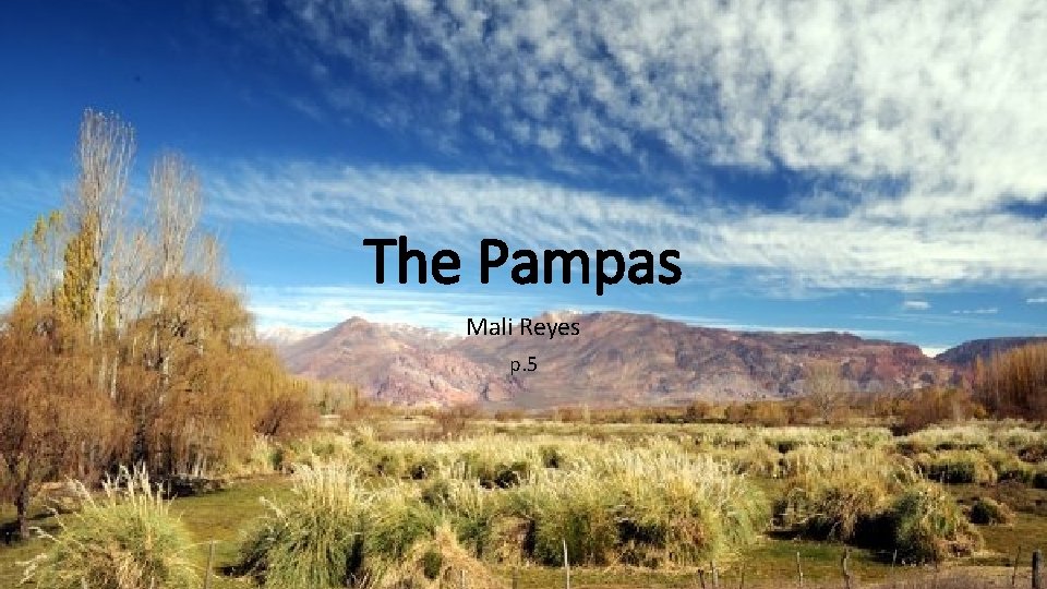 The Pampas Mali Reyes p. 5 The Pampas Mali Reyes p. 5
