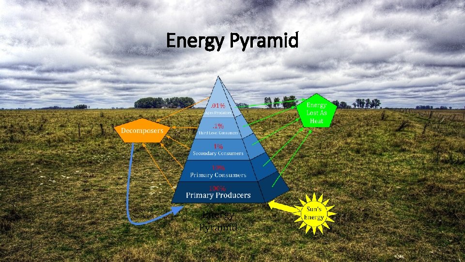Energy Pyramid Energy Pyramid