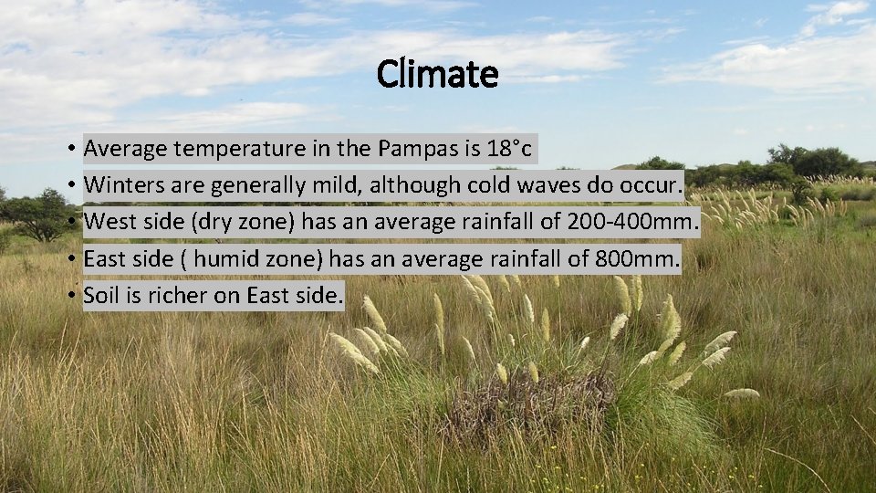 Climate • Average temperature in the Pampas is 18°c • Winters are generally mild, Climate • Average temperature in the Pampas is 18°c • Winters are generally mild,