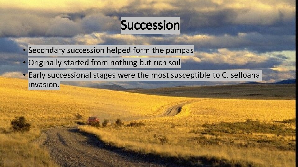 Succession • Secondary succession helped form the pampas • Originally started from nothing but Succession • Secondary succession helped form the pampas • Originally started from nothing but
