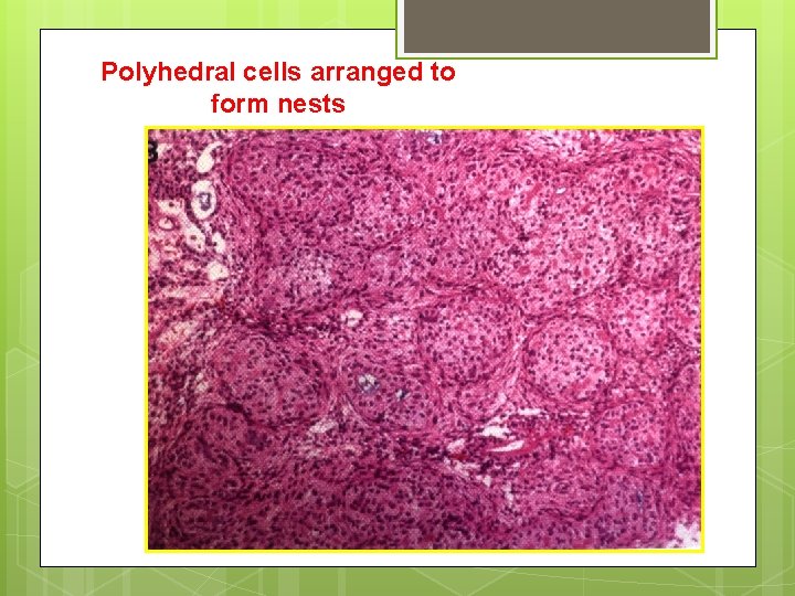 Polyhedral cells arranged to form nests 