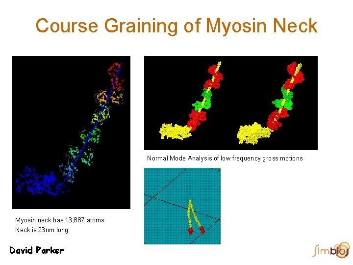 Course Graining of Myosin Neck Normal Mode Analysis of low frequency gross motions Myosin