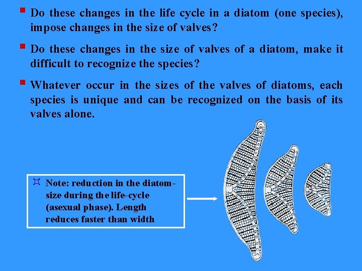 § Do these changes in the life cycle in a diatom (one species), impose