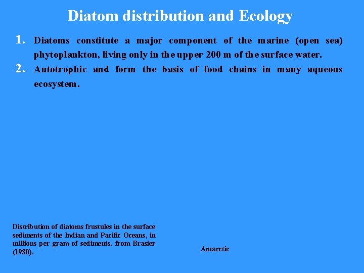 Diatom distribution and Ecology 1. 2. Diatoms constitute a major component of the marine
