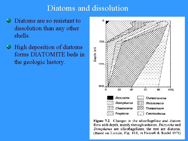 Diatoms and dissolution Diatoms are so resistant to dissolution than any other shells. High