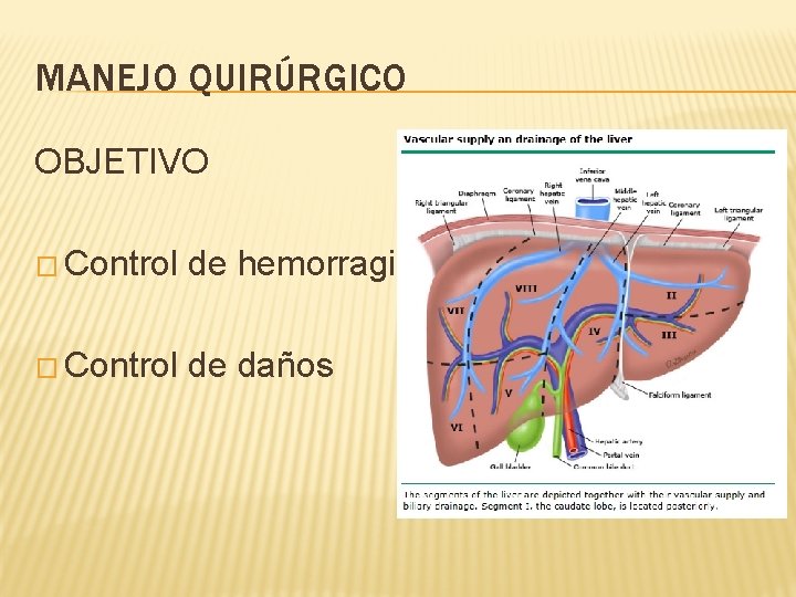 MANEJO QUIRÚRGICO OBJETIVO � Control de hemorragia � Control de daños 
