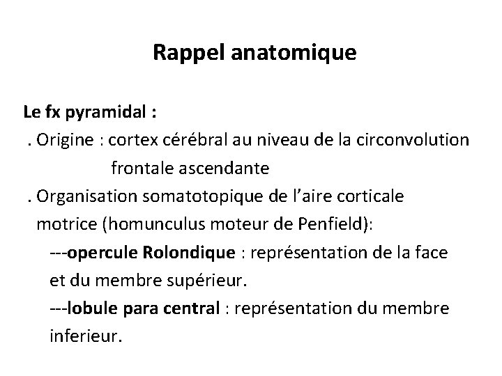 Rappel anatomique Le fx pyramidal : . Origine : cortex cérébral au niveau de