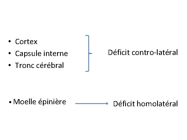  • Cortex • Capsule interne • Tronc cérébral Déficit contro-latéral • Moelle épinière