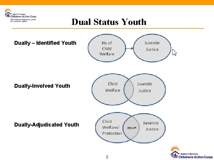 Dual Status Youth Dually – Identified Youth Dually-Involved Youth Dually-Adjudicated Youth 3 