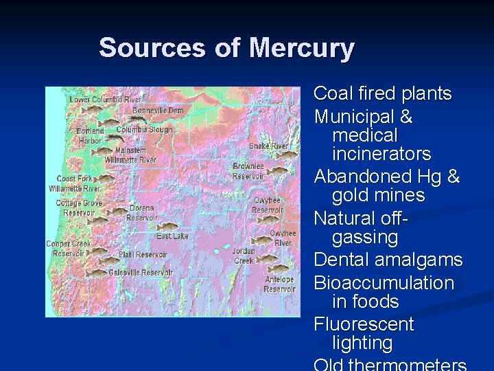 Sources of Mercury Coal fired plants Municipal & medical incinerators Abandoned Hg & gold