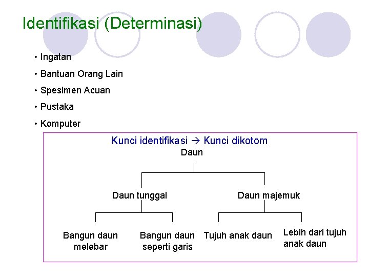 Identifikasi (Determinasi) • Ingatan • Bantuan Orang Lain • Spesimen Acuan • Pustaka •