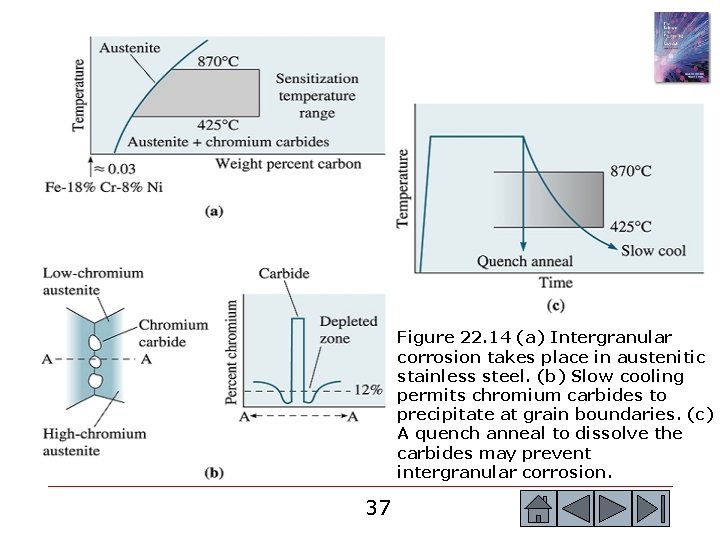 Figure 22. 14 (a) Intergranular corrosion takes place in austenitic stainless steel. (b) Slow