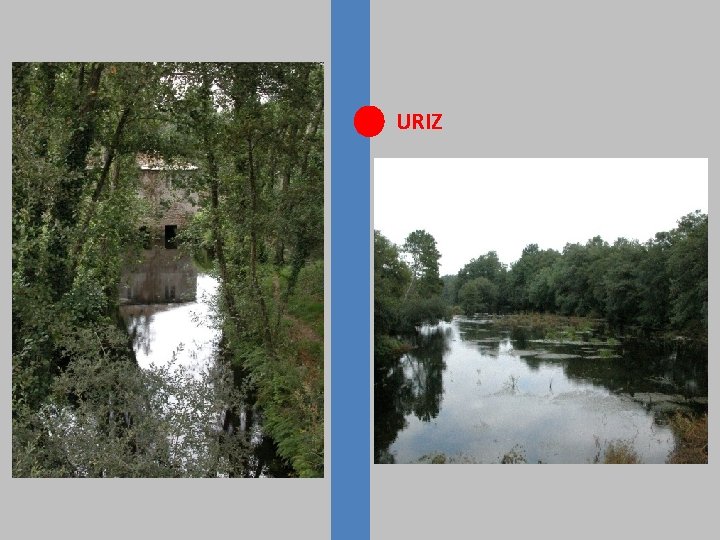 URIZ 