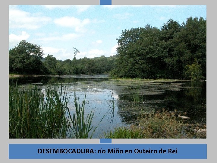 DESEMBOCADURA: río Miño en Outeiro de Rei 