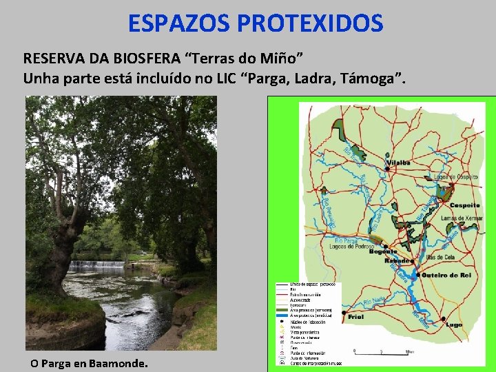 ESPAZOS PROTEXIDOS RESERVA DA BIOSFERA “Terras do Miño” Unha parte está incluído no LIC