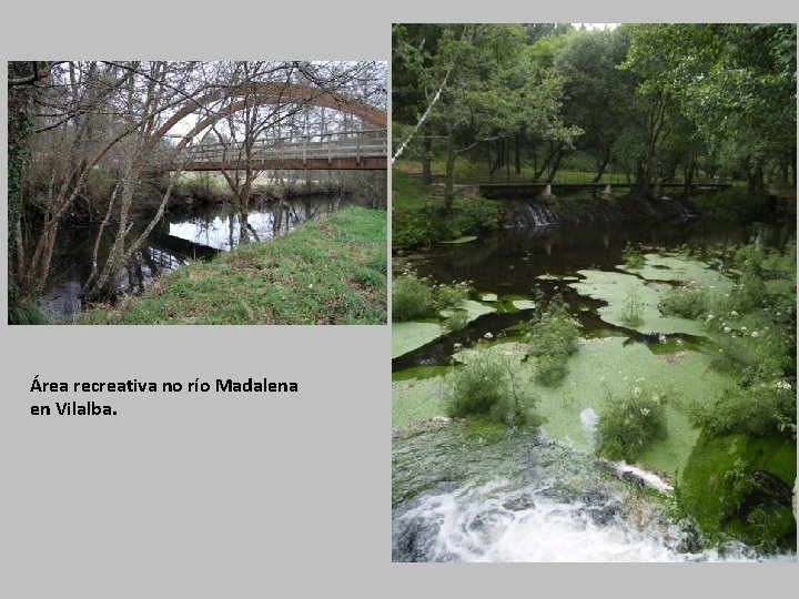Área recreativa no río Madalena en Vilalba. 