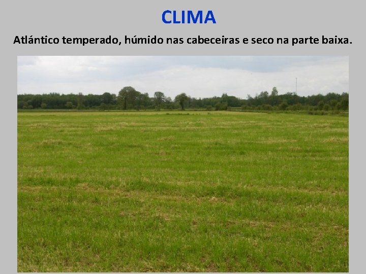 CLIMA Atlántico temperado, húmido nas cabeceiras e seco na parte baixa. 