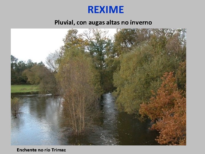 REXIME Pluvial, con augas altas no inverno Enchente no río Trimaz 
