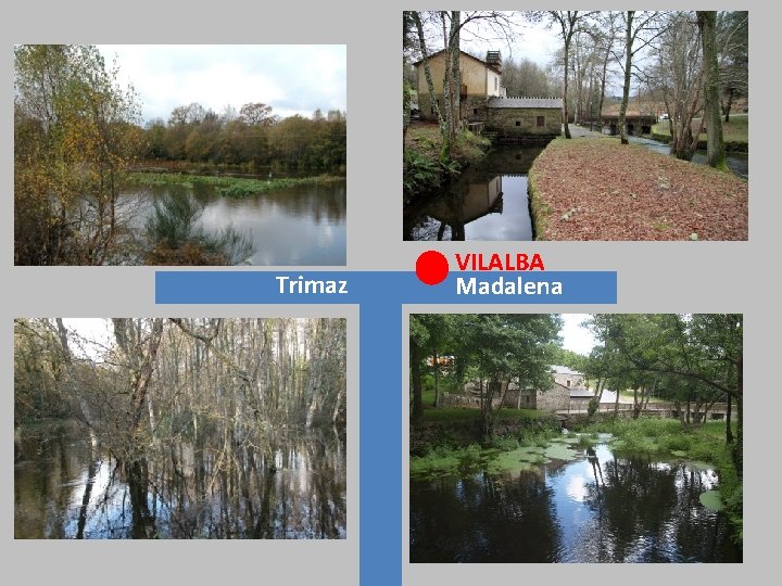 Trimaz VILALBA Madalena 