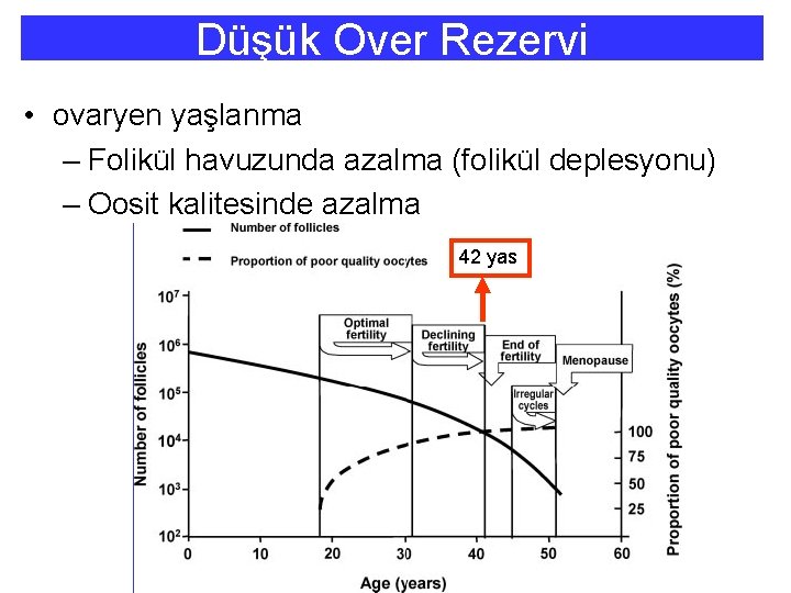 Düşük Over Rezervi • ovaryen yaşlanma – Folikül havuzunda azalma (folikül deplesyonu) – Oosit