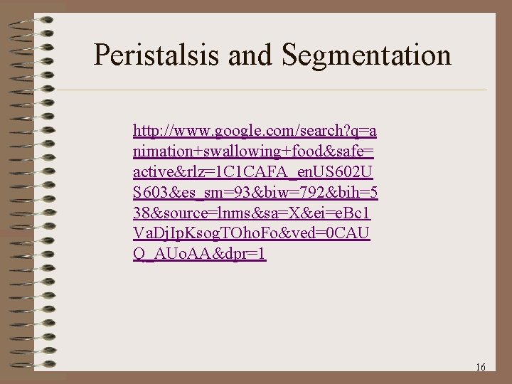 Peristalsis and Segmentation http: //www. google. com/search? q=a nimation+swallowing+food&safe= active&rlz=1 C 1 CAFA_en. US