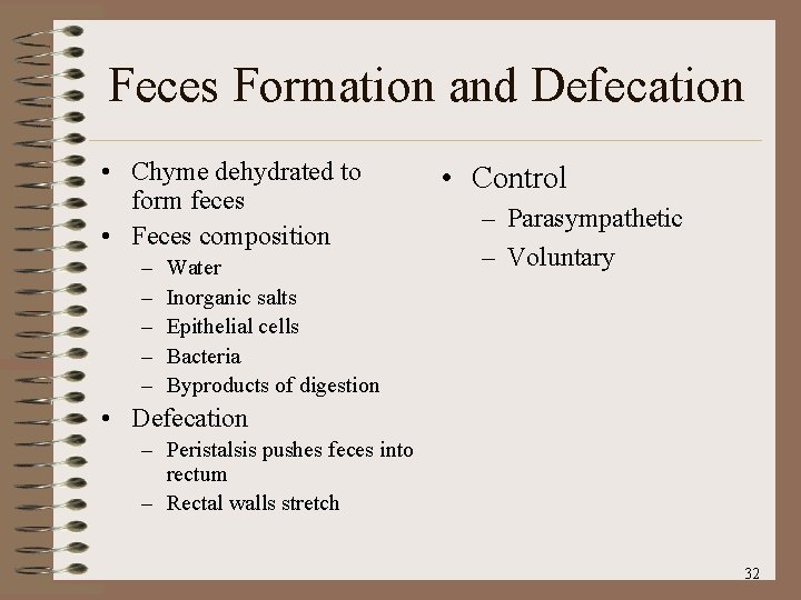 Feces Formation and Defecation • Chyme dehydrated to form feces • Feces composition –