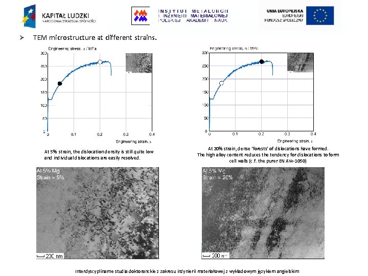 Ø TEM microstructure at different strains. At 5% strain, the dislocation density is still