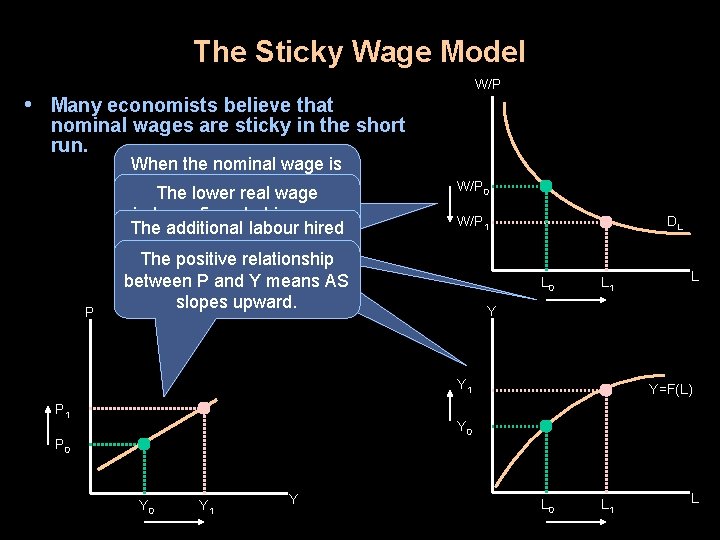 The Sticky Wage Model W/P • Many economists believe that nominal wages are sticky