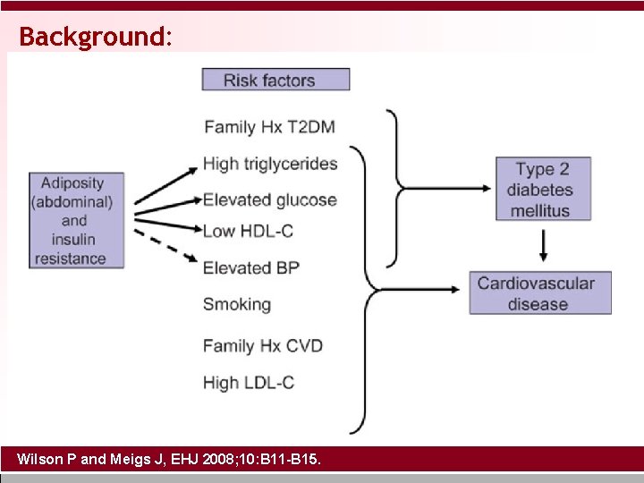 Background: Wilson P and Meigs J, EHJ 2008; 10: B 11 -B 15. 