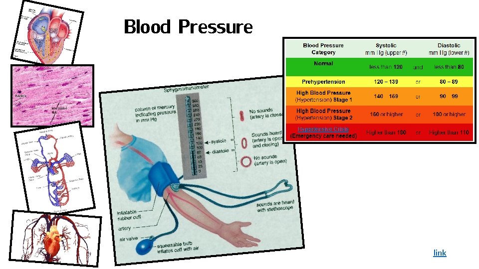 Blood Pressure link 