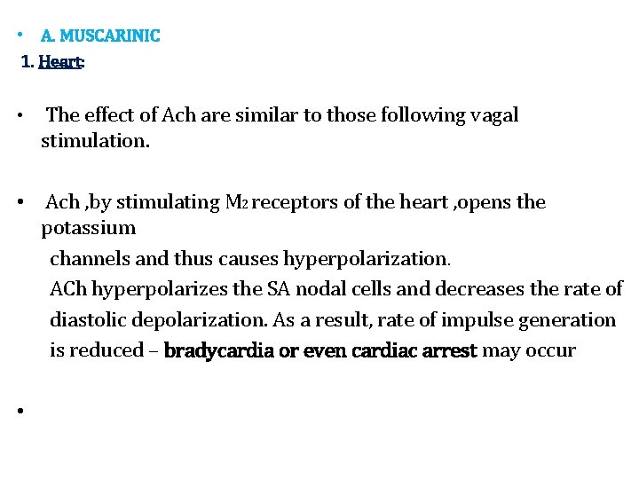  • A. MUSCARINIC 1. Heart: • The effect of Ach are similar to