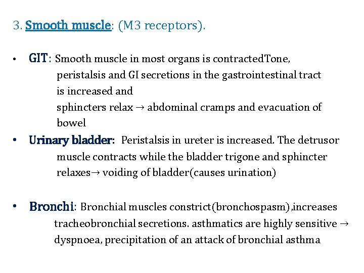 3. Smooth muscle: (M 3 receptors). • GIT: Smooth muscle in most organs is