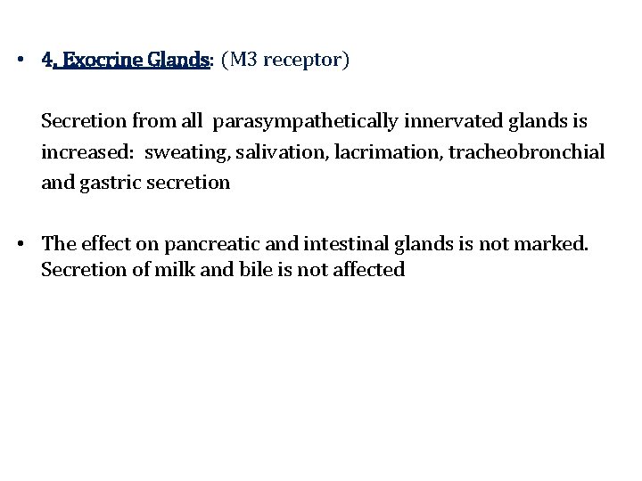  • 4. Exocrine Glands: (M 3 receptor) Secretion from all parasympathetically innervated glands