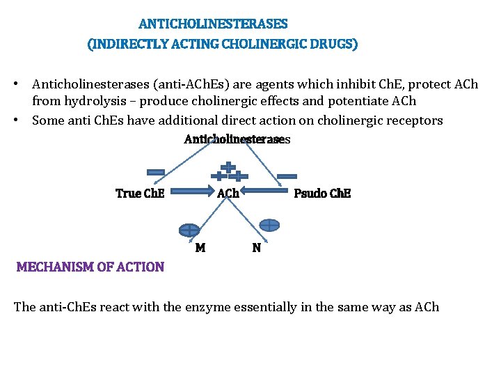 ANTICHOLINESTERASES (INDIRECTLY ACTING CHOLINERGIC DRUGS) • Anticholinesterases (anti-ACh. Es) are agents which inhibit Ch.