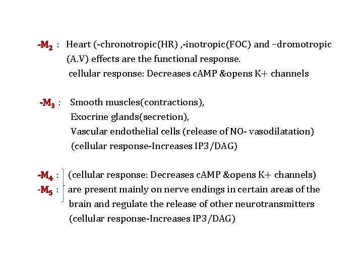 -M 2 : Heart (-chronotropic(HR) , -inotropic(FOC) and –dromotropic (A. V) effects are the
