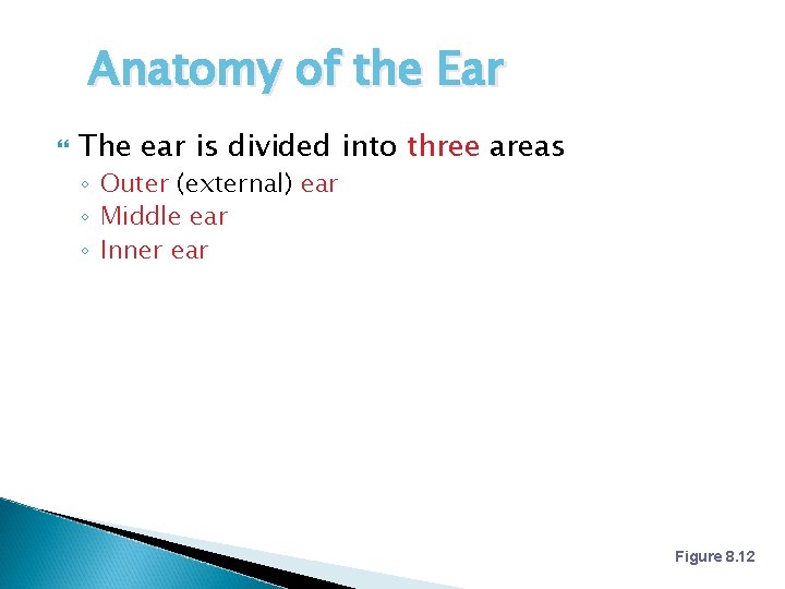 Anatomy of the Ear The ear is divided into three areas ◦ Outer (external)