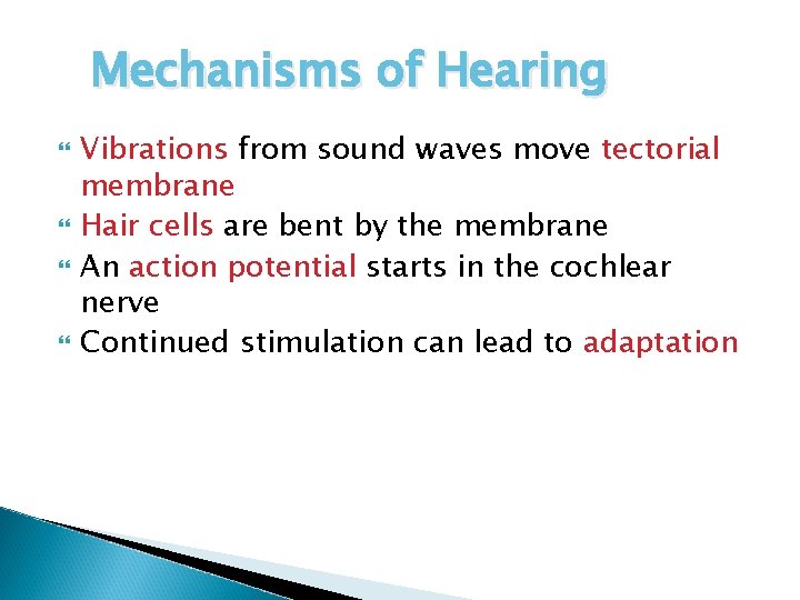 Mechanisms of Hearing Vibrations from sound waves move tectorial membrane Hair cells are bent