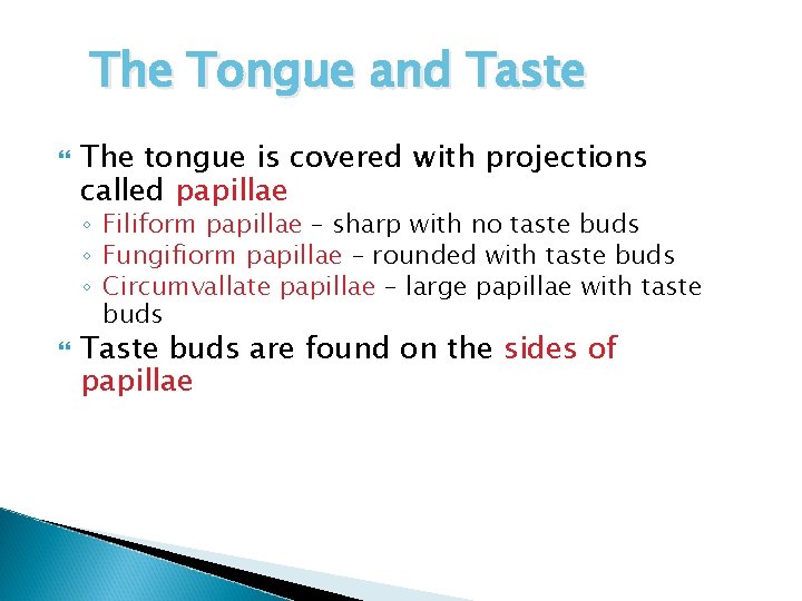 The Tongue and Taste The tongue is covered with projections called papillae ◦ Filiform
