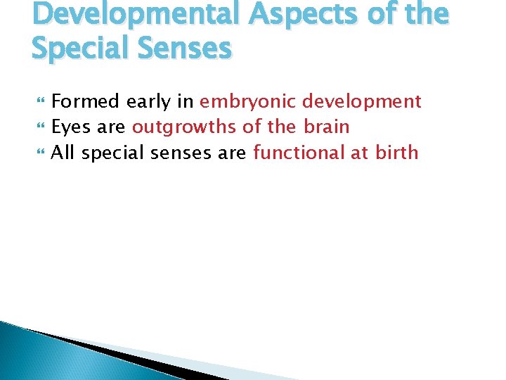 Developmental Aspects of the Special Senses Formed early in embryonic development Eyes are outgrowths