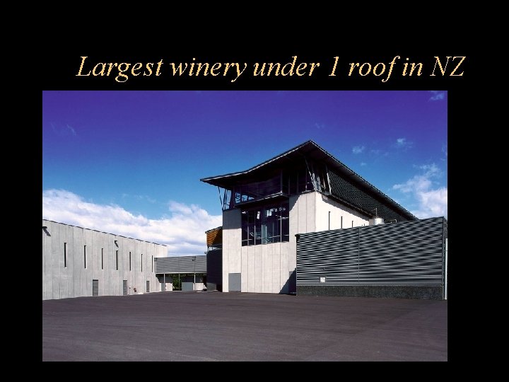 Largest winery under 1 roof in NZ 